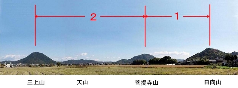 ʐ^g