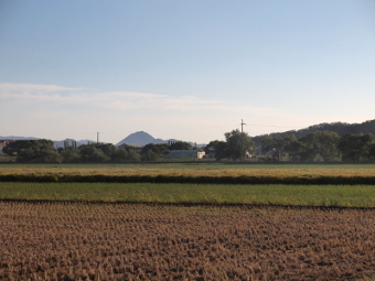 写真拡大