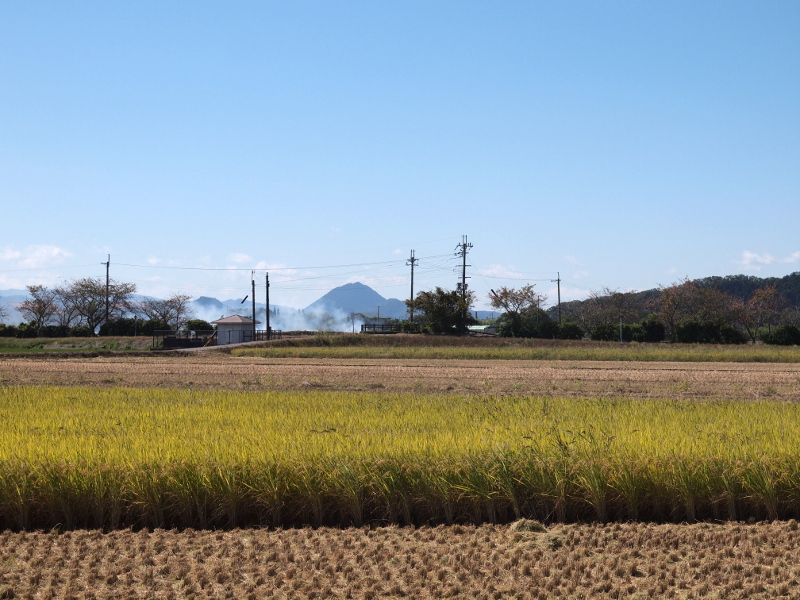 写真拡大
