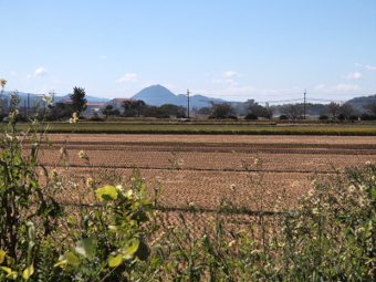 写真拡大