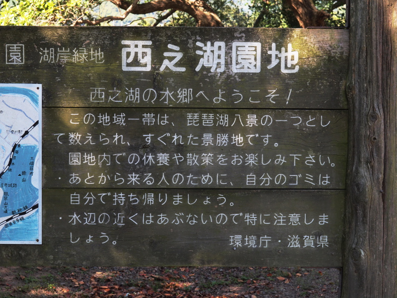 写真拡大