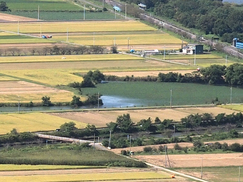写真拡大