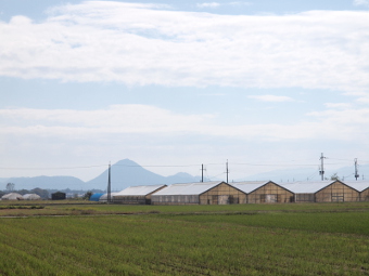 写真拡大