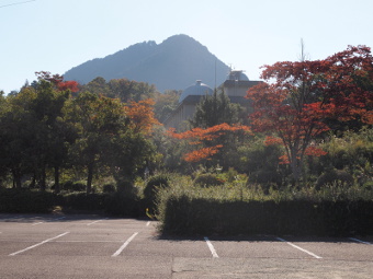 写真拡大