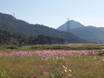 写真拡大