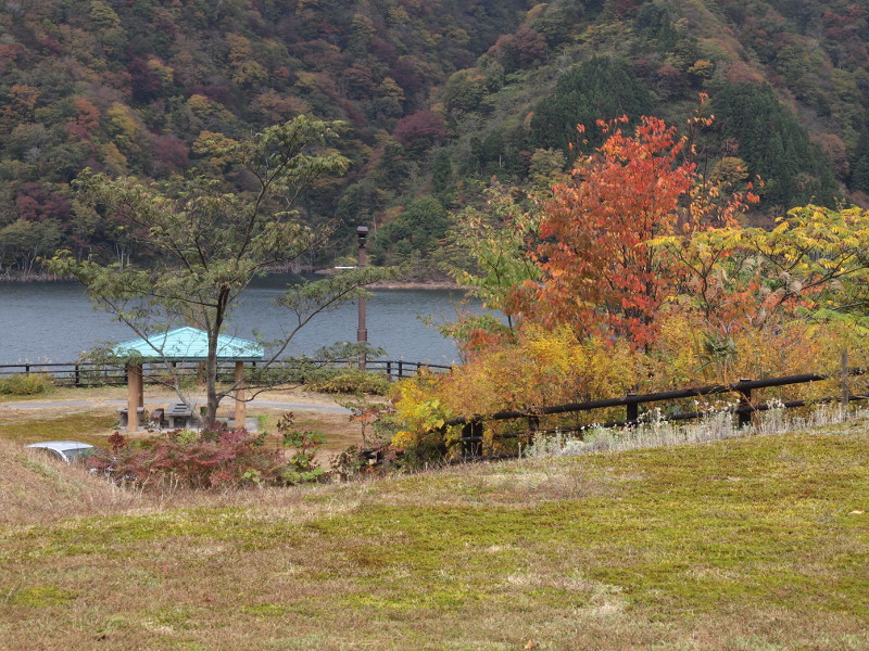 写真拡大