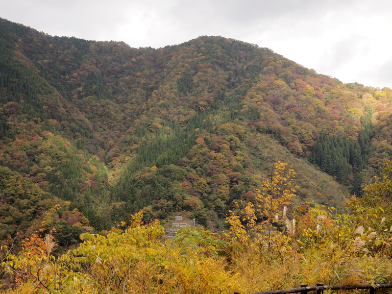写真拡大
