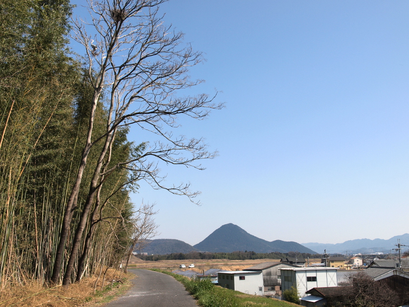 写真拡大