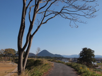 写真拡大
