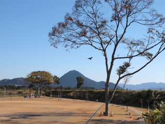 写真拡大