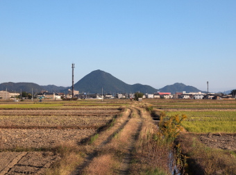 写真拡大