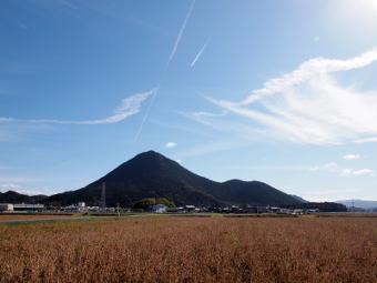 写真拡大