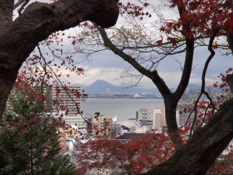 写真拡大