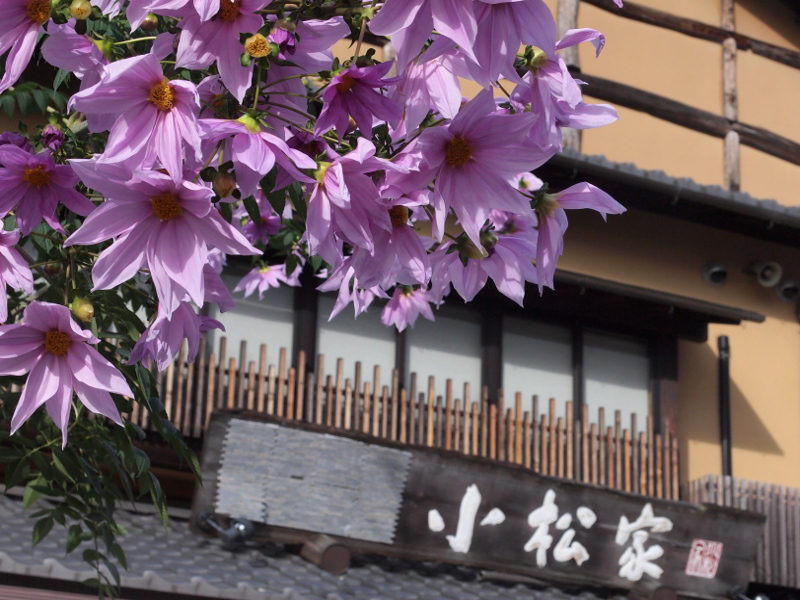 写真拡大