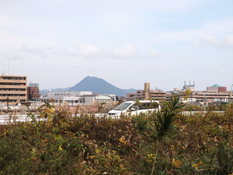 写真拡大