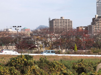 写真拡大