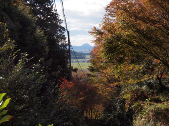 写真拡大