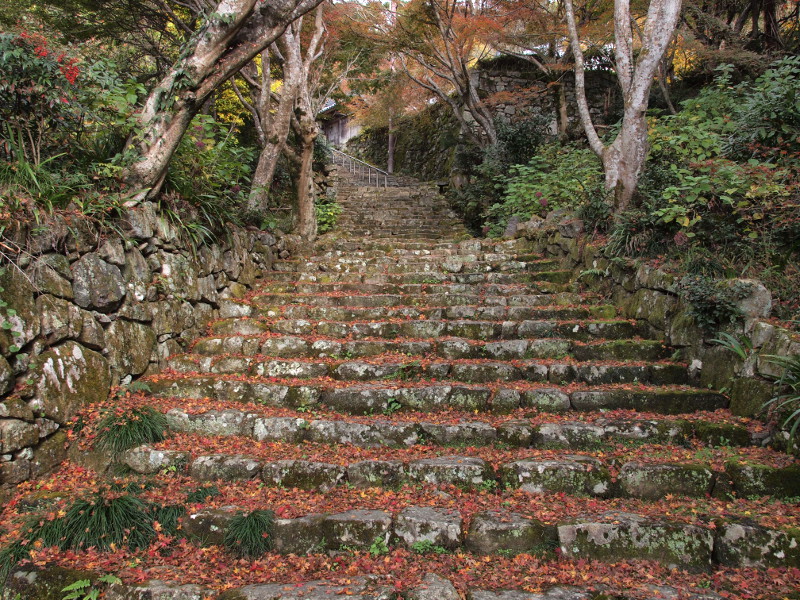 写真拡大