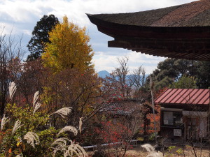 写真拡大