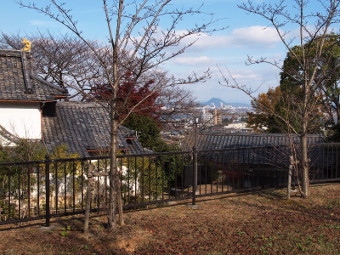 写真拡大