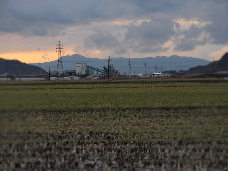 写真拡大
