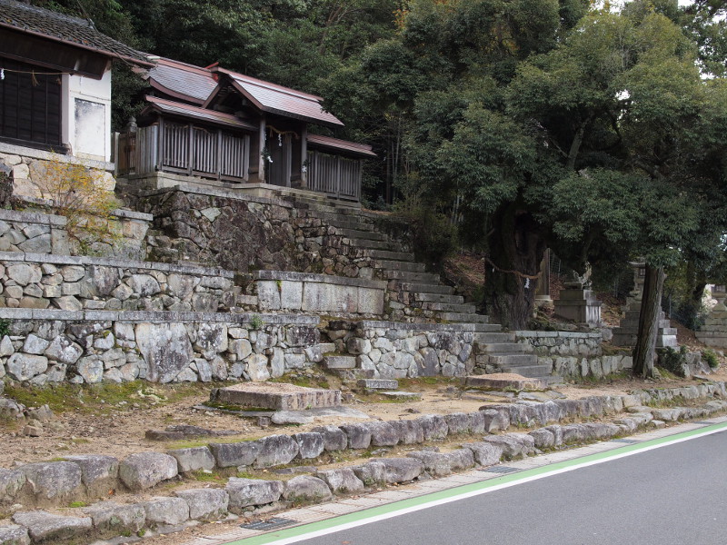 写真拡大