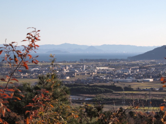 写真拡大