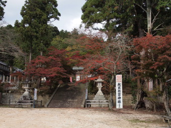 写真拡大