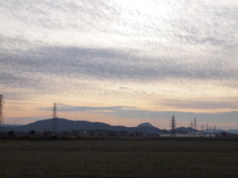 写真拡大