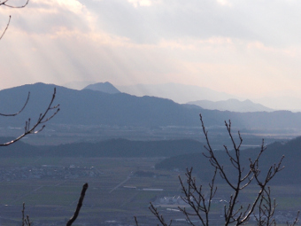 写真拡大