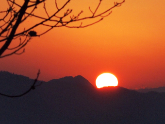 写真拡大