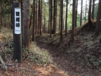 写真拡大