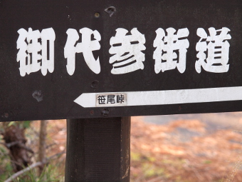 写真拡大