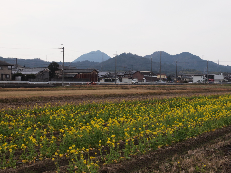写真拡大