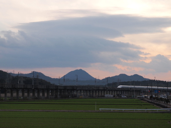写真拡大