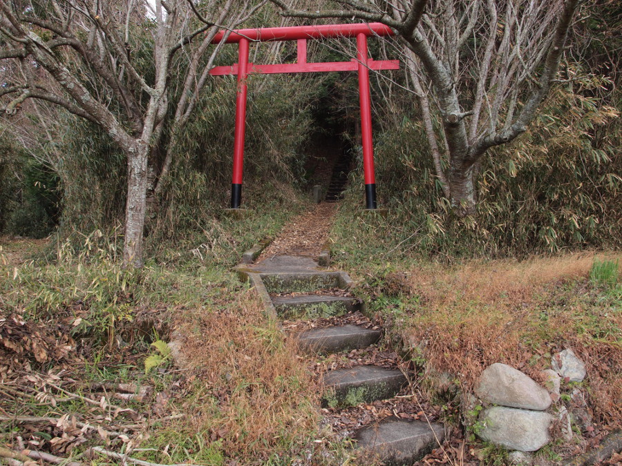 写真拡大