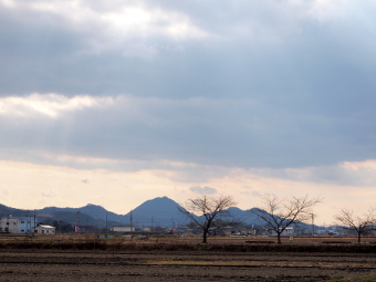 写真拡大