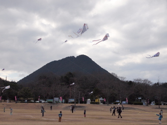 写真拡大