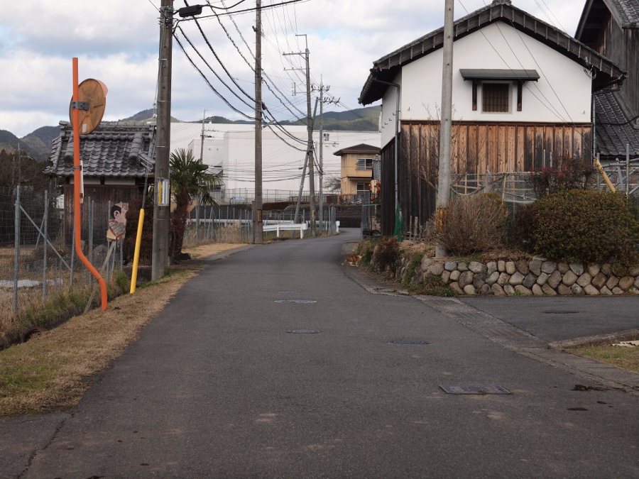 写真拡大