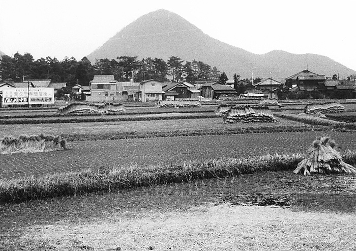 写真拡大