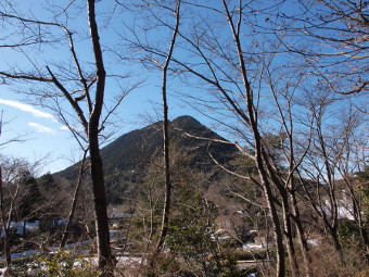 写真拡大