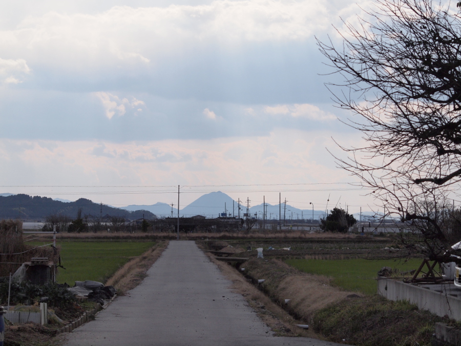写真拡大