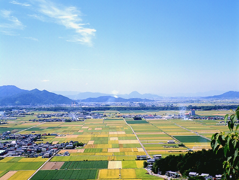 写真拡大