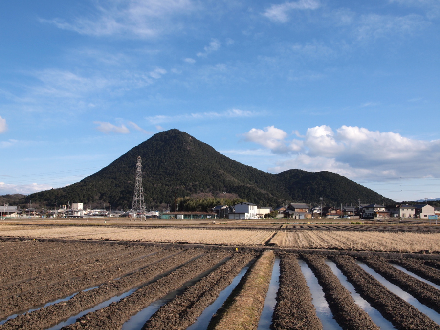 写真拡大