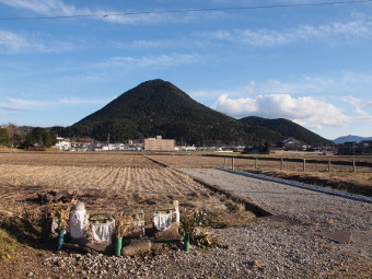 写真拡大
