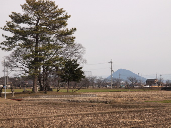 写真拡大