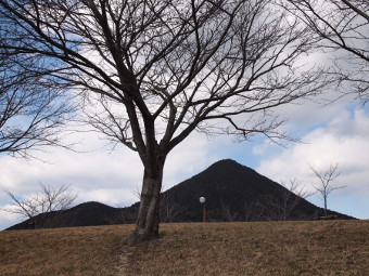 写真拡大