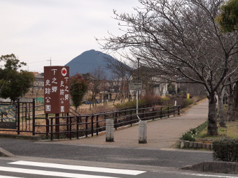 写真拡大