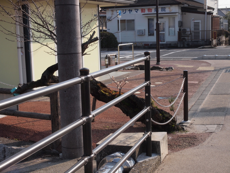 写真拡大