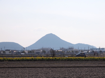 写真拡大
